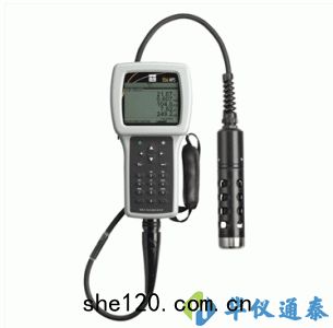 美國YSI 556MPS型多參數水(shuǐ)質測(cè)量儀