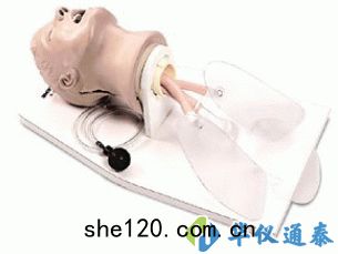 美國NASCO Airway Larry LF03699U急救(jiù)插(chā)管頭部(bù)模型