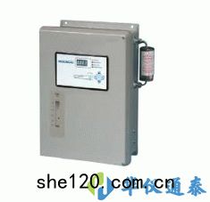 美國2B 465H過程(chéng)臭氧檢測儀(yí)