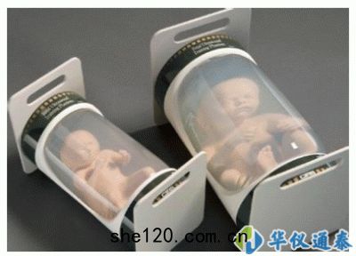 美(měi)國CIRS 065係列嬰兒體(tǐ)模(mó)
