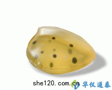 美(měi)國CIRS 013胸(xiōng)部體模