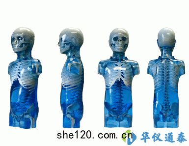美(měi)國(guó)CIRS 715兒(ér)科全身(shēn)體模(mó)