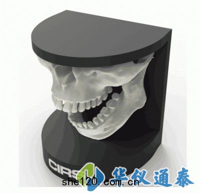 美國CIRS 134200牙科(kē)口(kǒu)腔模體(tǐ)
