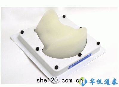 美國(guó)CIRS 074甲狀腺(xiàn)超(chāo)聲訓(xùn)練模體(tǐ)