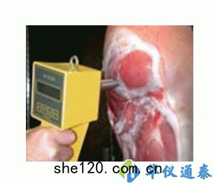 德國MATTHAUS PH-STAR胴(dòng)體(tǐ)肌(jī)肉PH值直測(cè)儀