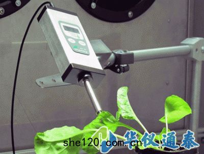 捷克PSI Monitoring Pen MP100葉(yè)綠素(sù)熒光儀