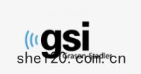 美國GSI