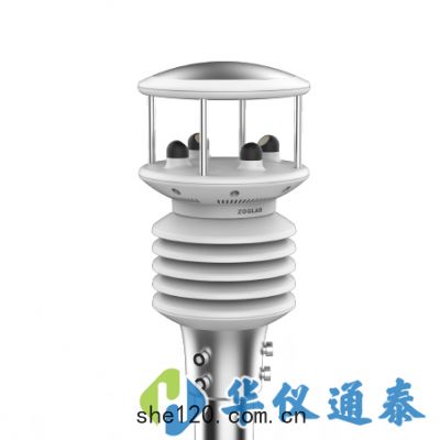 MWS3000 微型氣象(xiàng)站(zhàn)