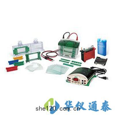 美國(guó)伯樂Bio-Rad 1658033垂(chuí)直(zhí)電(diàn)泳轉印係統套裝(zhuāng)