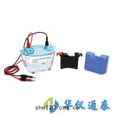 北京六(liù)一(yī) DYCZ-40K 轉(zhuǎn)印(yìn)電泳(yǒng)儀