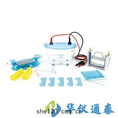 北(běi)京六(liù)一 DYCZ-24K，DYCZ-24KS型雙(shuāng)板垂(chuí)直電泳儀(yí)