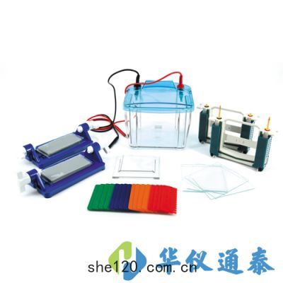 北(běi)京六(liù)一 DYCZ-25E型(xíng)P4垂(chuí)直電(diàn)泳儀