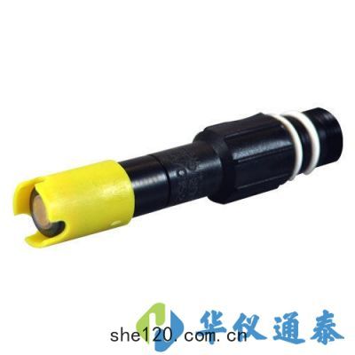 美國(guó)YSI 2003 及(jí)譜溶解氧傳感(gǎn)器(qì)
