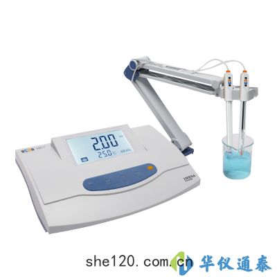 上海(hǎi)雷磁(cí)DWS-51型(xíng)鈉離子(zǐ)計