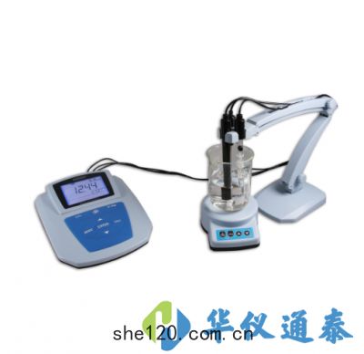 MP523-06 pH/溴離(lí)子濃(nóng)度計