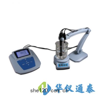 MP523-04 pH/氟(fú)離子(zǐ)濃度計