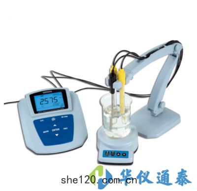 MP517鈉(nà)離子濃(nóng)度計(jì)