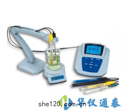 MP551 pH/mV/離(lí)子濃度/電導(dǎo)率(shuài)/溶解氧(yǎng)測(cè)量儀