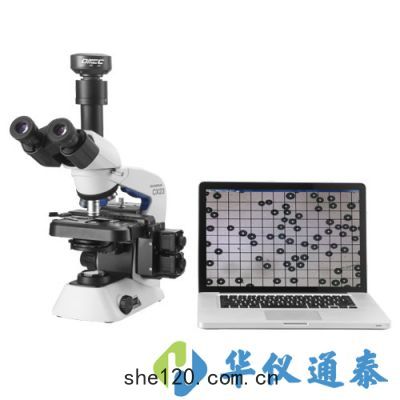 歐(ōu)美克 PIP9.1型顆(kē)粒圖像處理儀